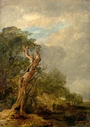 The Withered Tree